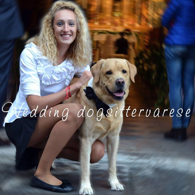 Wedding Dog Sitter Varese Wedding Dog Sitter Varese