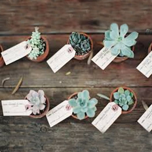 ESCORT CARD ESCORT CARD